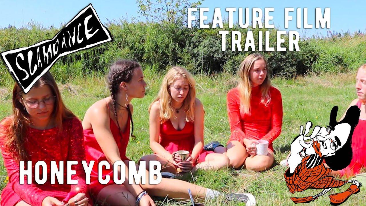 Honeycomb Trailer