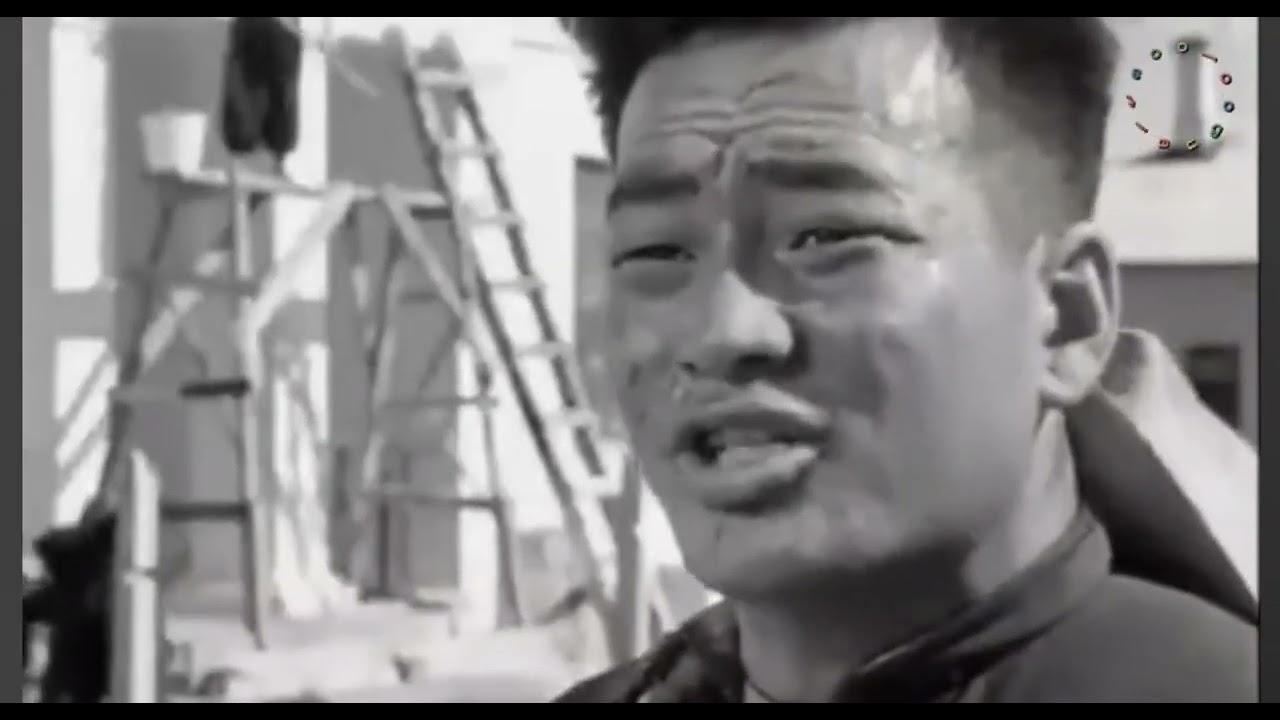 Wish I Had a Horse Trailer