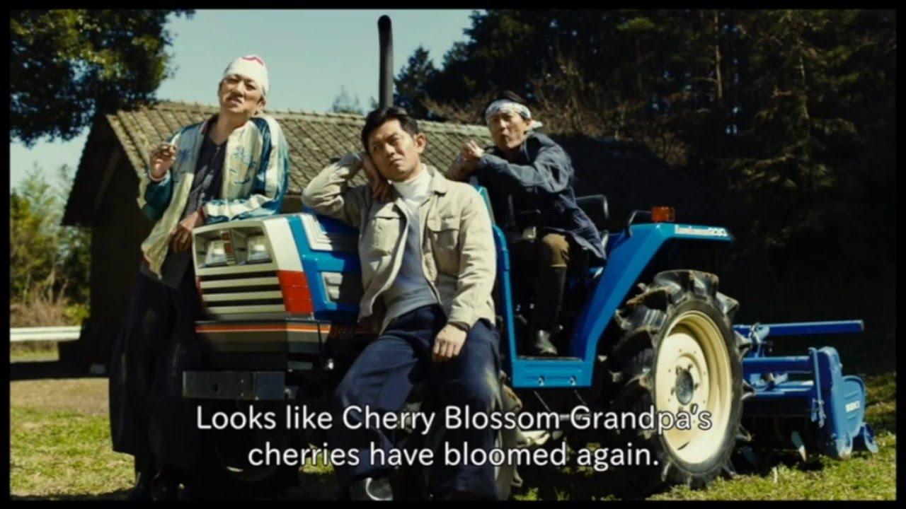 Yoko the Cherry Blossom Trailer