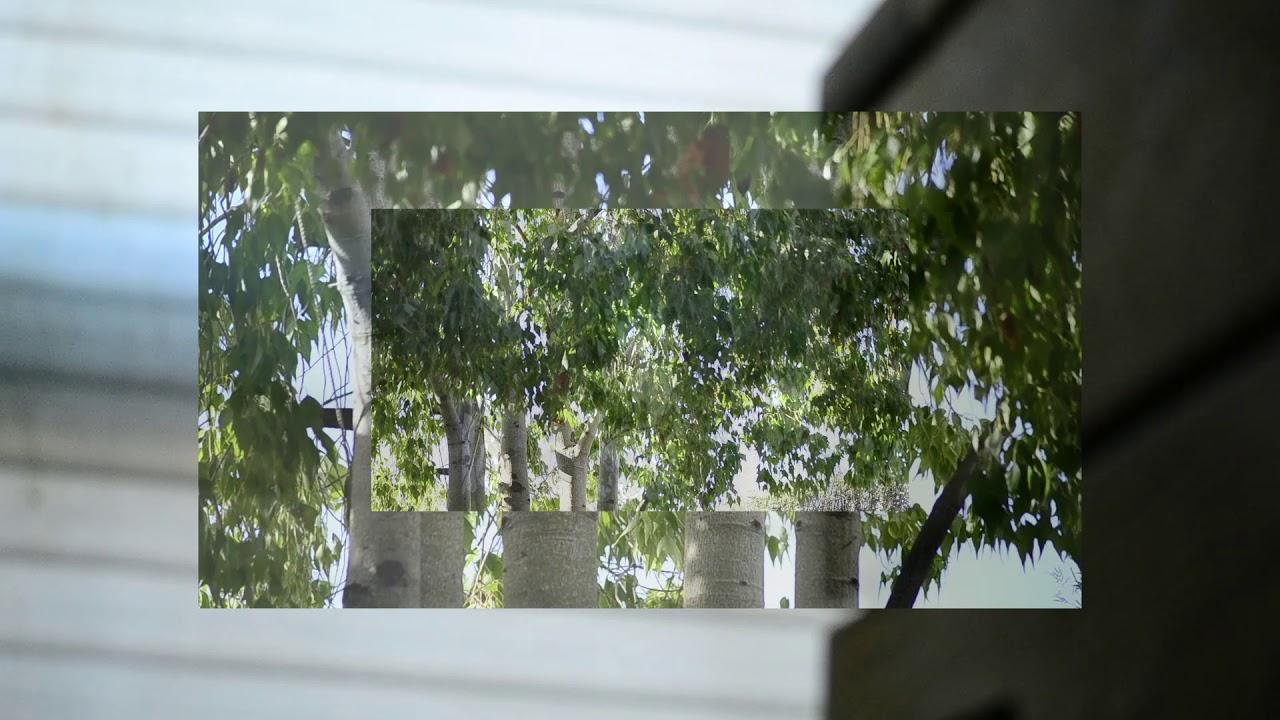 Eternal Funeral Trailer
