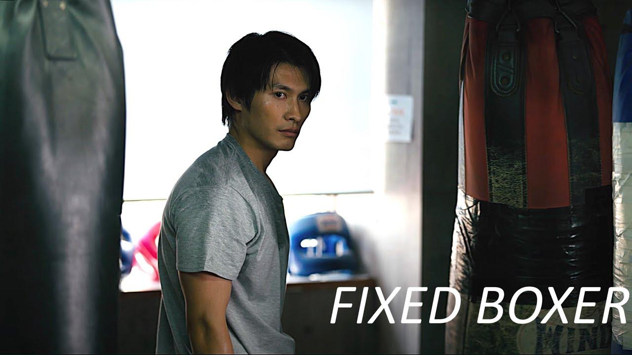 Fixed Boxer Trailer