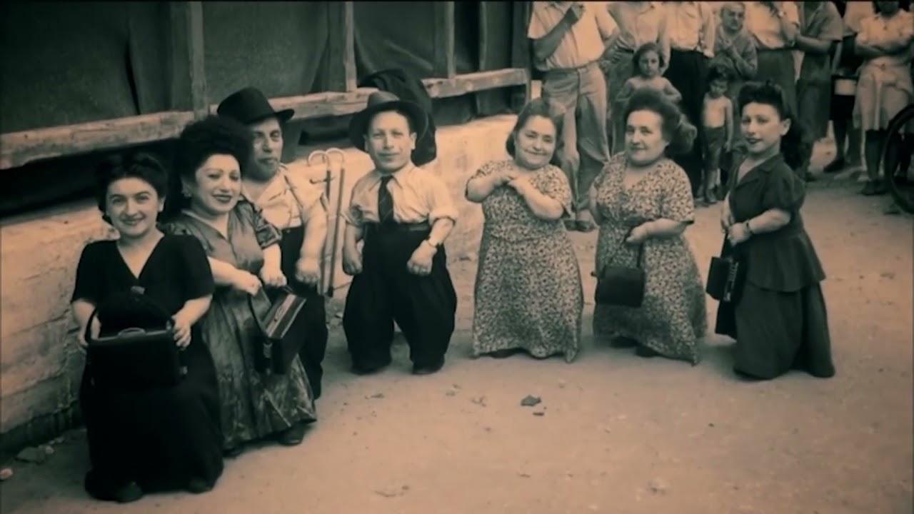 Warwick Davis and the Seven Dwarfs of Auschwitz Trailer