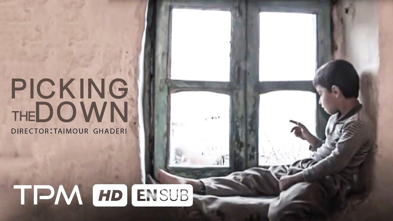 Picking the Dawn Trailer