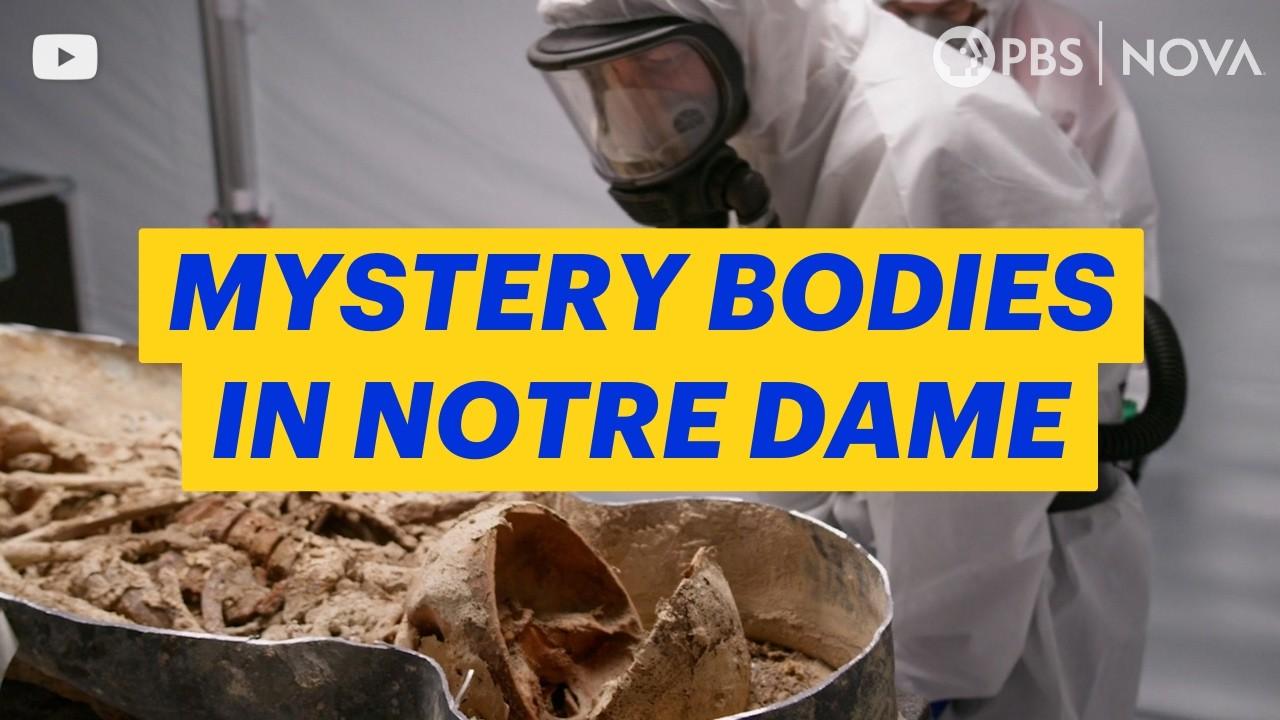 Lost Tombs of Notre Dame Trailer