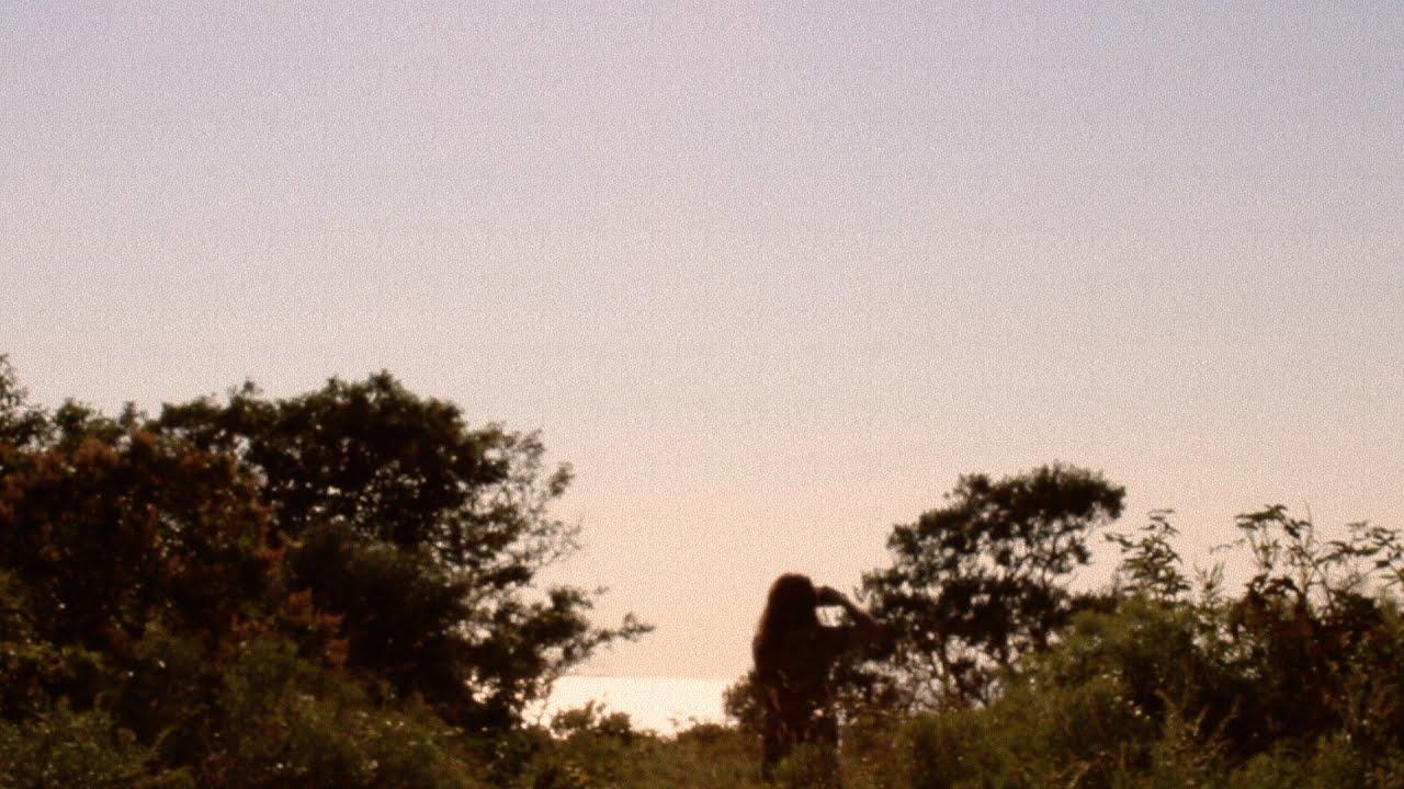 Summer Day Trailer
