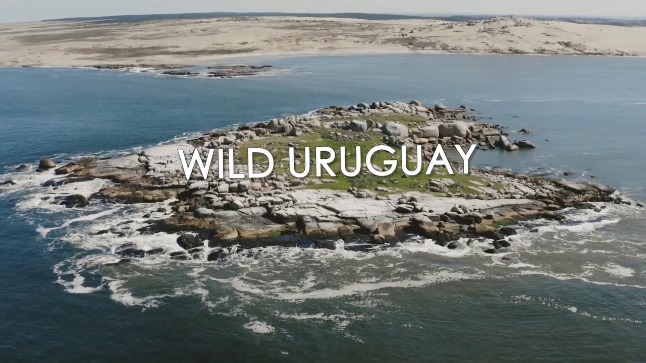 Wild Uruguay Trailer