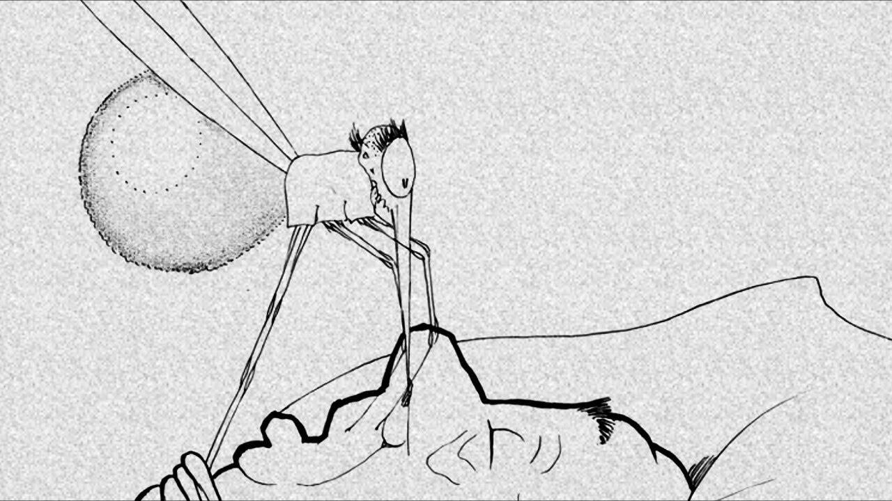 How a Mosquito Operates Trailer