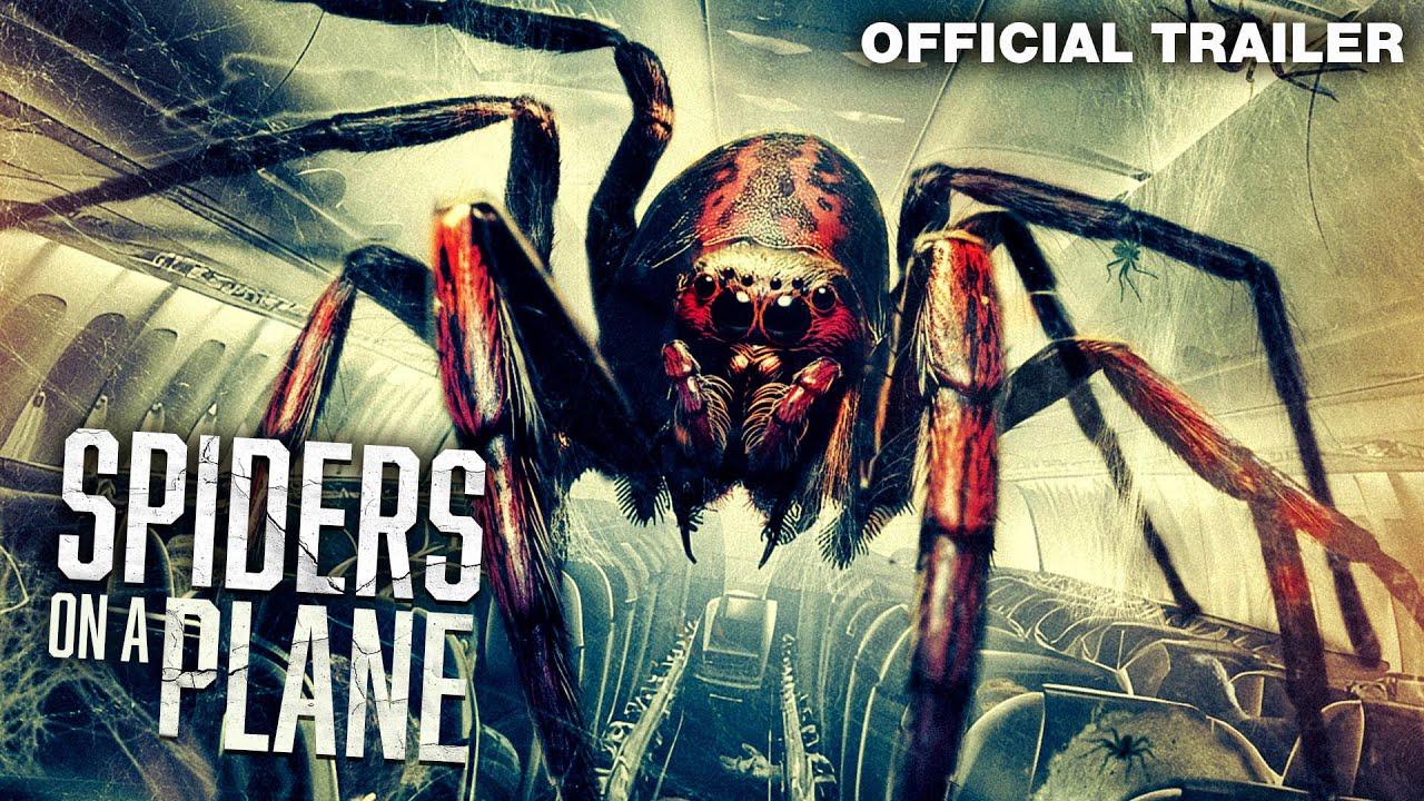 Spiders on a Plane Trailer