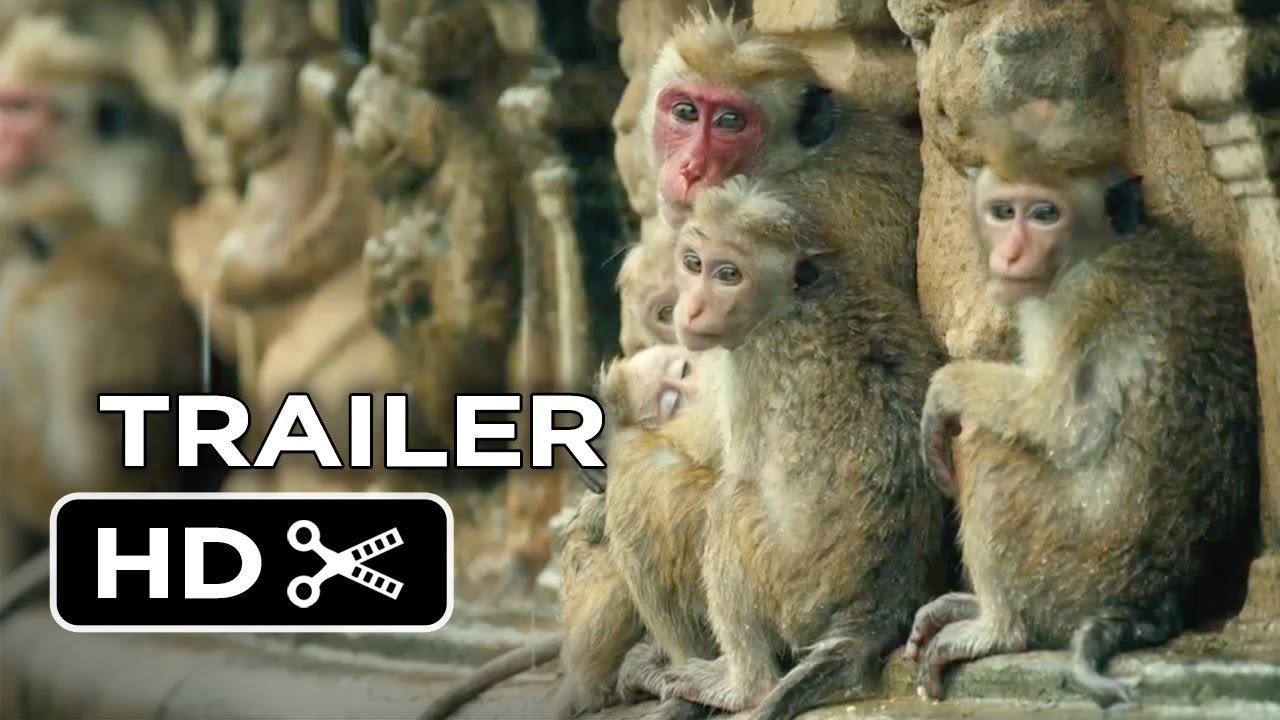 Monkey Kingdom Trailer