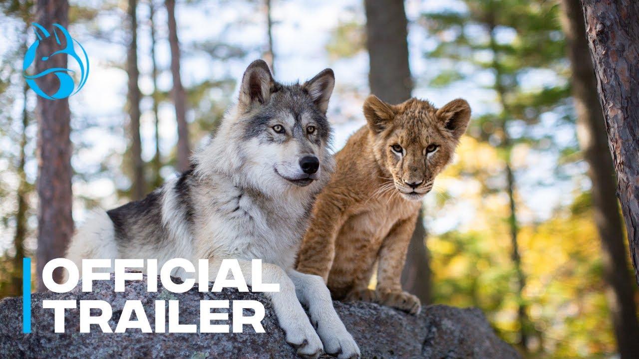 The Wolf and the Lion Trailer