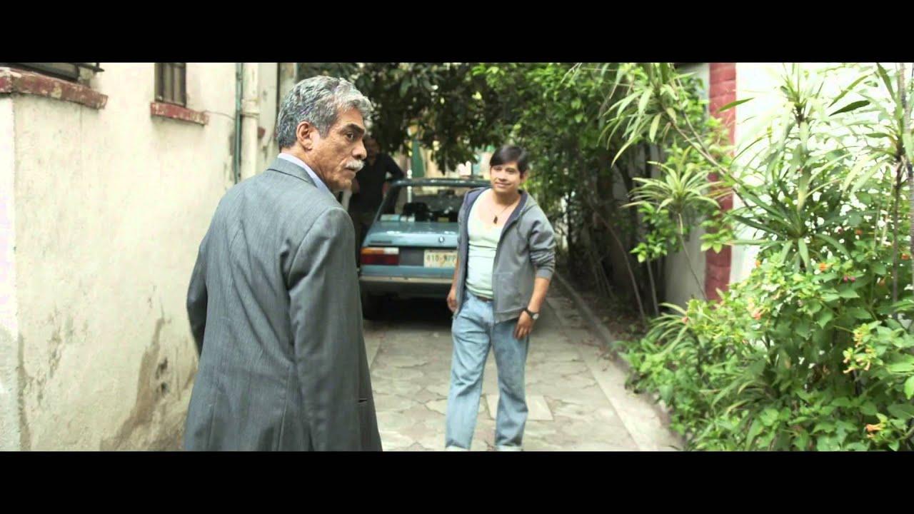 The Reasons in the World Trailer