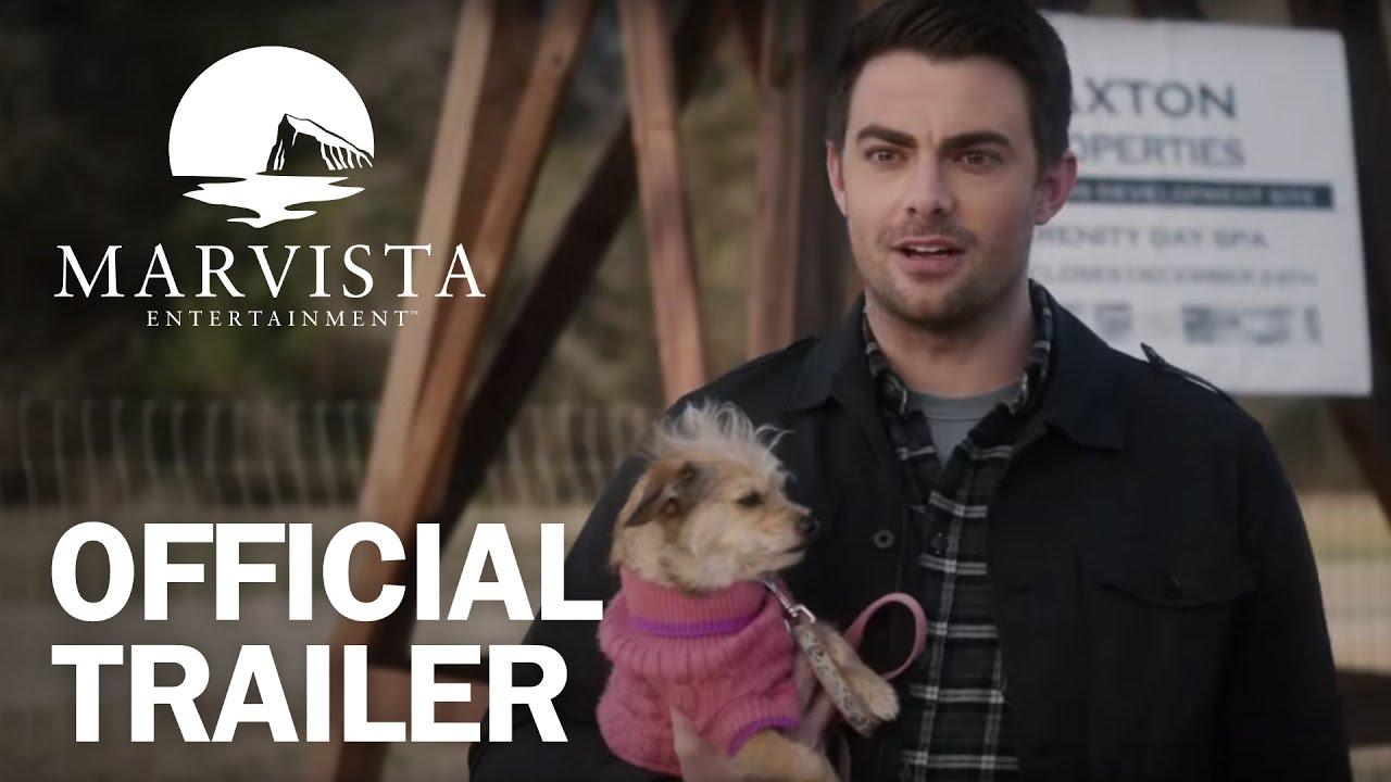 A Dogwalker's Christmas Tale Trailer