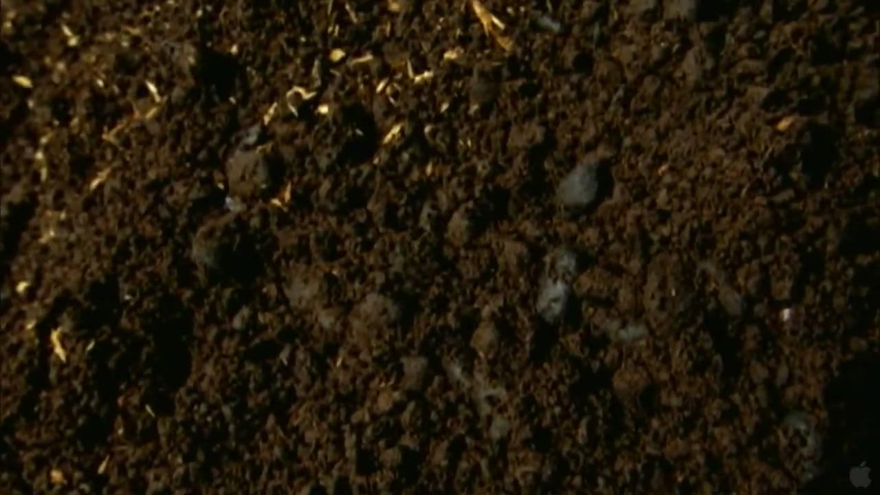 Beetle Queen Conquers Tokyo Trailer