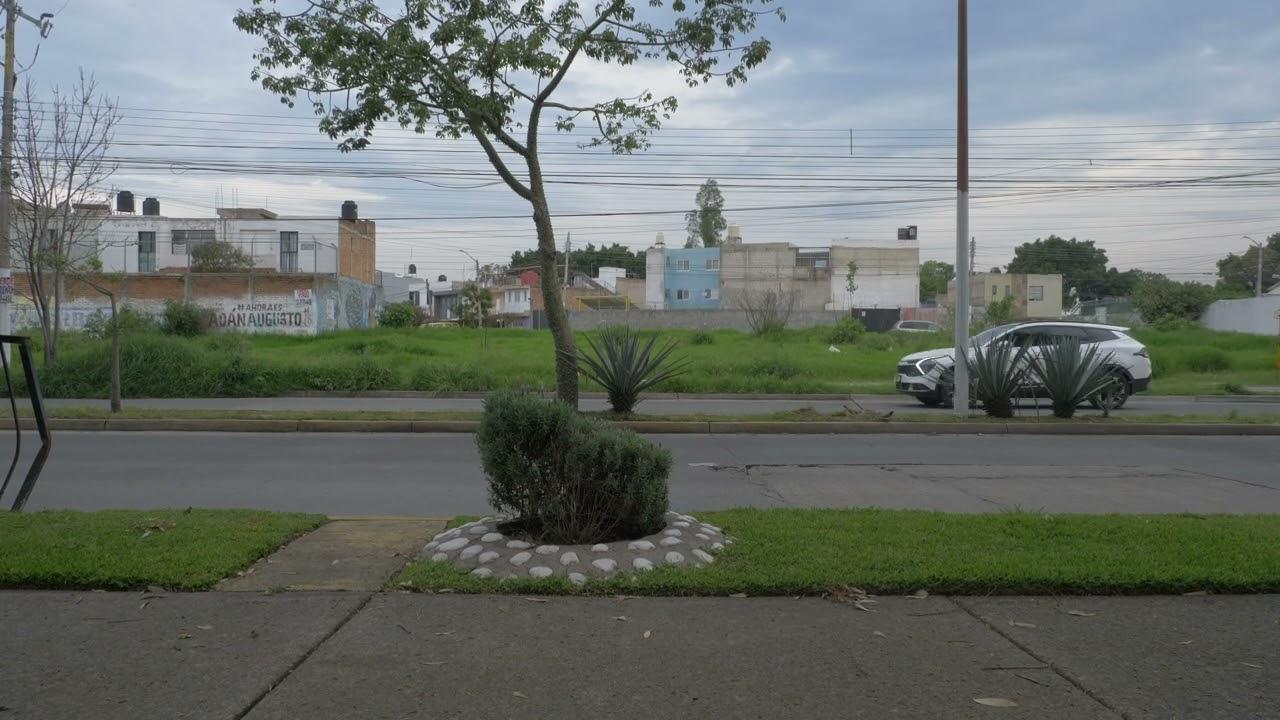 significantes, dos de cinco Trailer