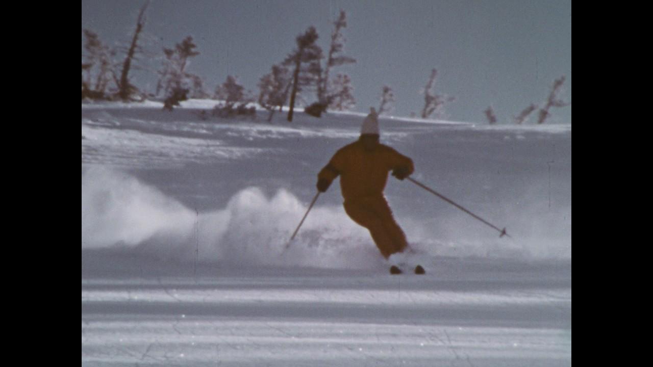 The White Search Trailer