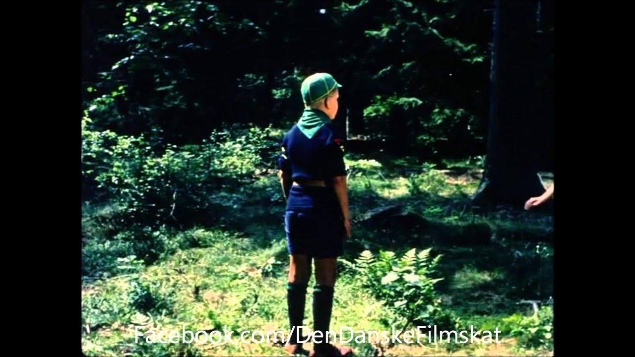 Father of Four and the Wolf Cubs Trailer