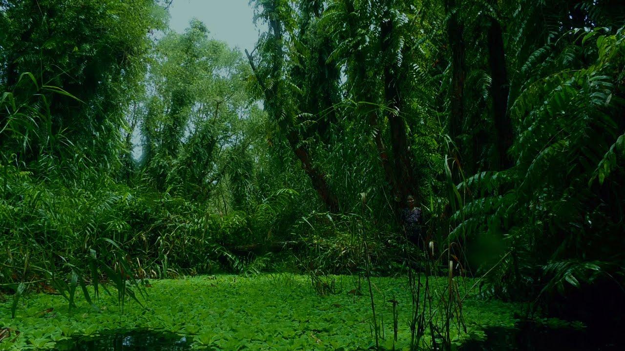 The Eternal Springtime Trailer