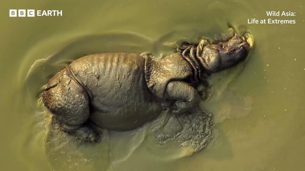 Wild Asia: Life at Extremes Trailer