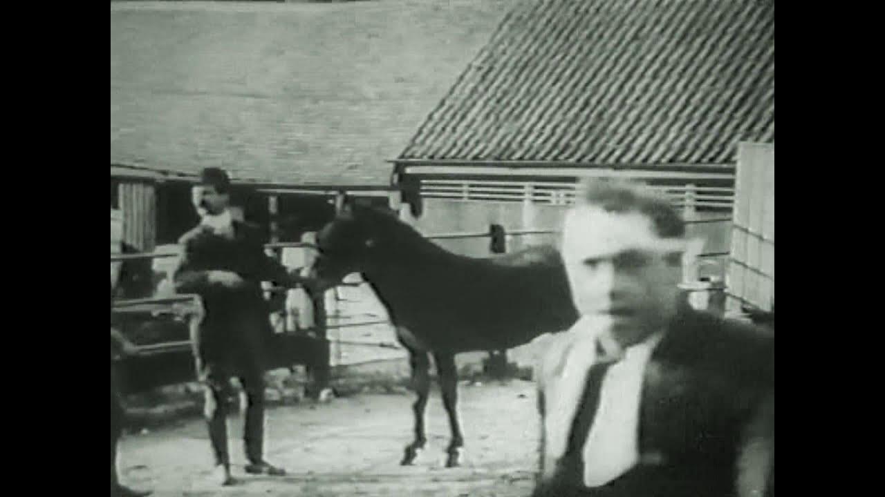 Tomkins Buys a Donkey Trailer