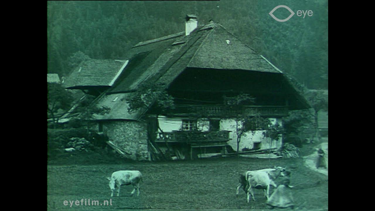 Through the Alb Valley to Sankt Blasien Trailer