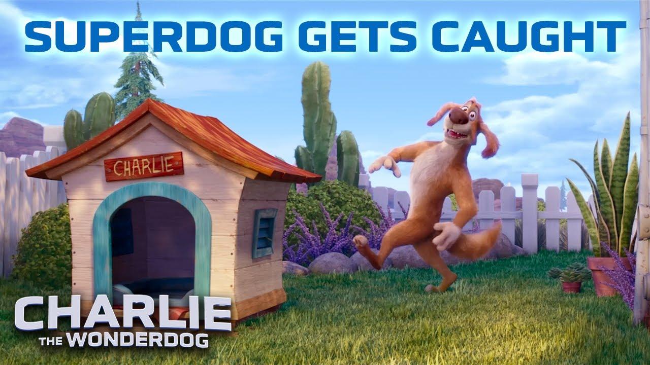 Charlie the Wonderdog Trailer