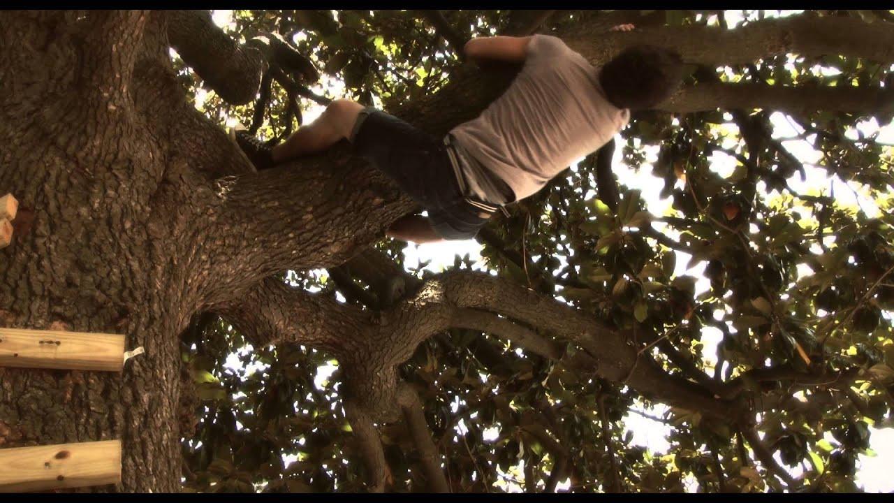 Last Summer Trailer
