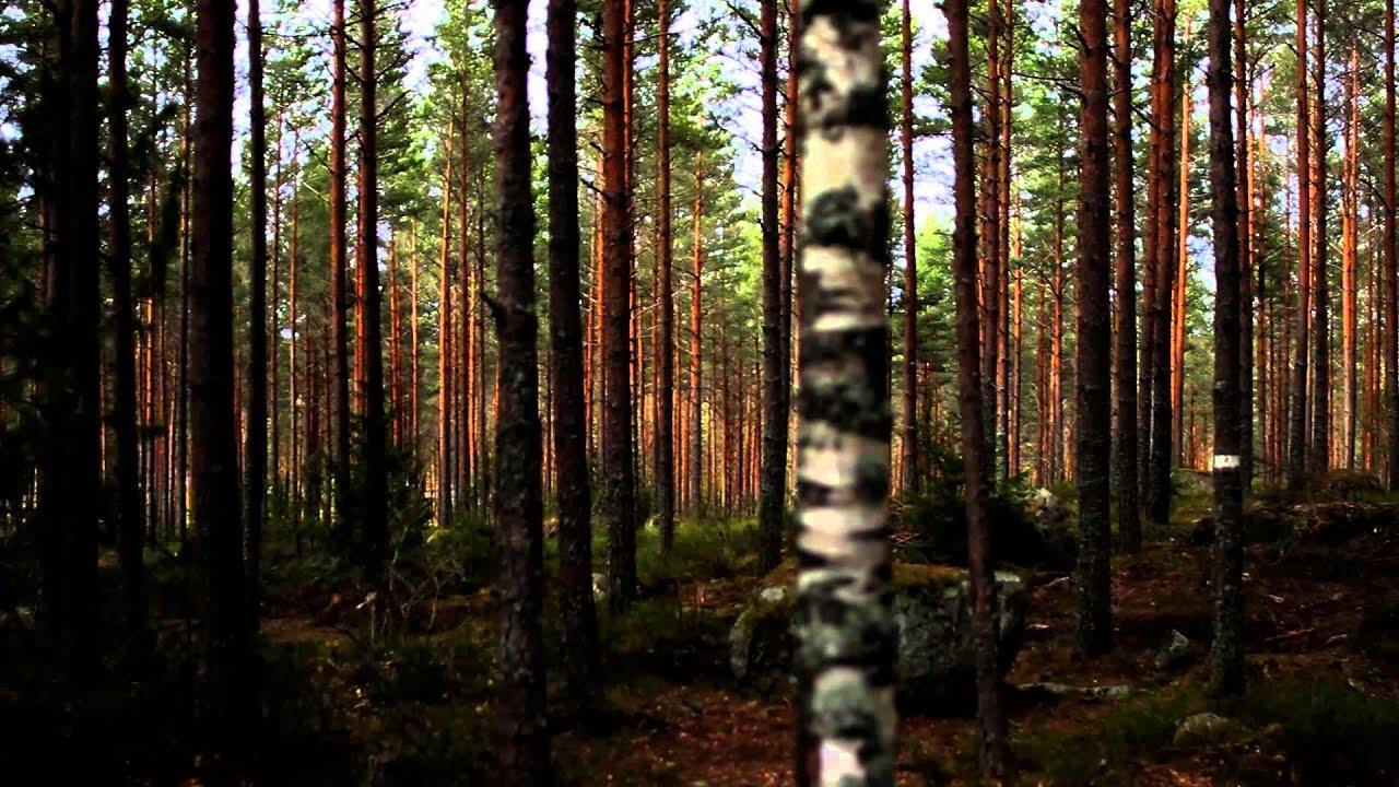Wicca Trailer