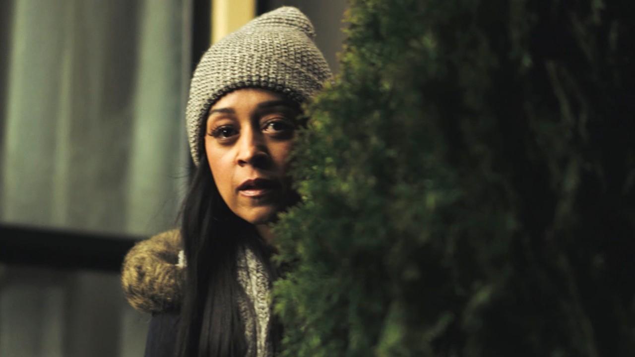 Single Black Tenant Trailer