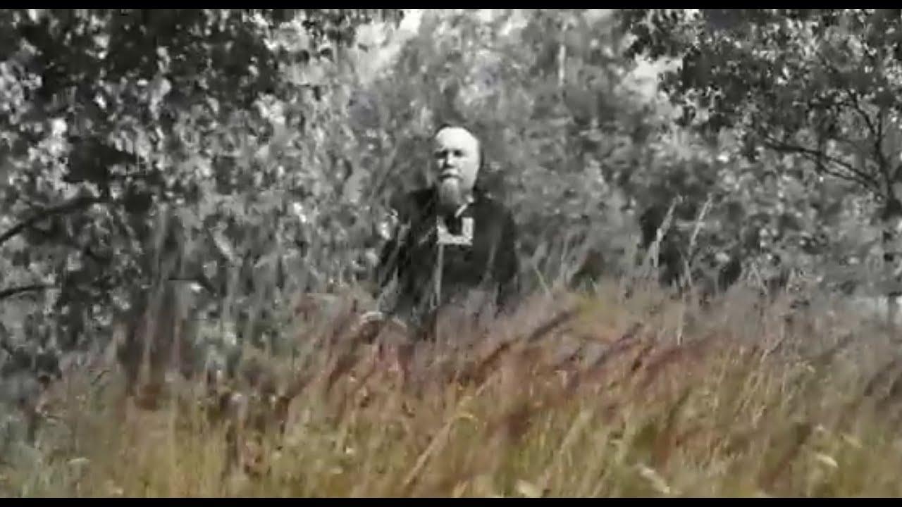 The Wolf in the Moonlight Trailer