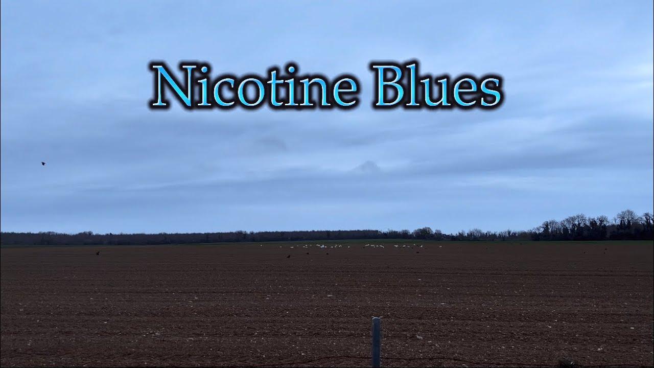 Nicotine Blues Trailer