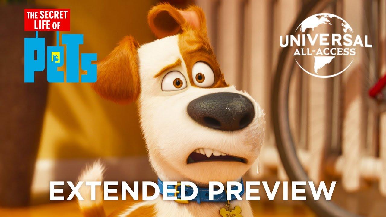 The Secret Life of Pets Trailer