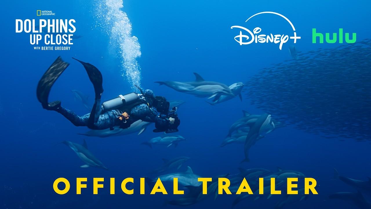 Dolphins Up Close with Bertie Gregory Trailer