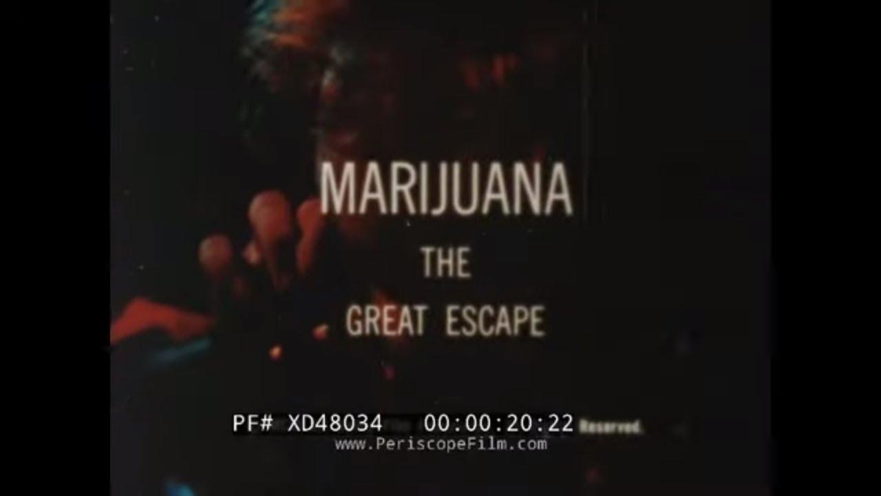 Marijuana The Great Escape Trailer
