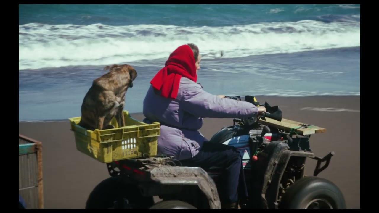 La Perra Trailer