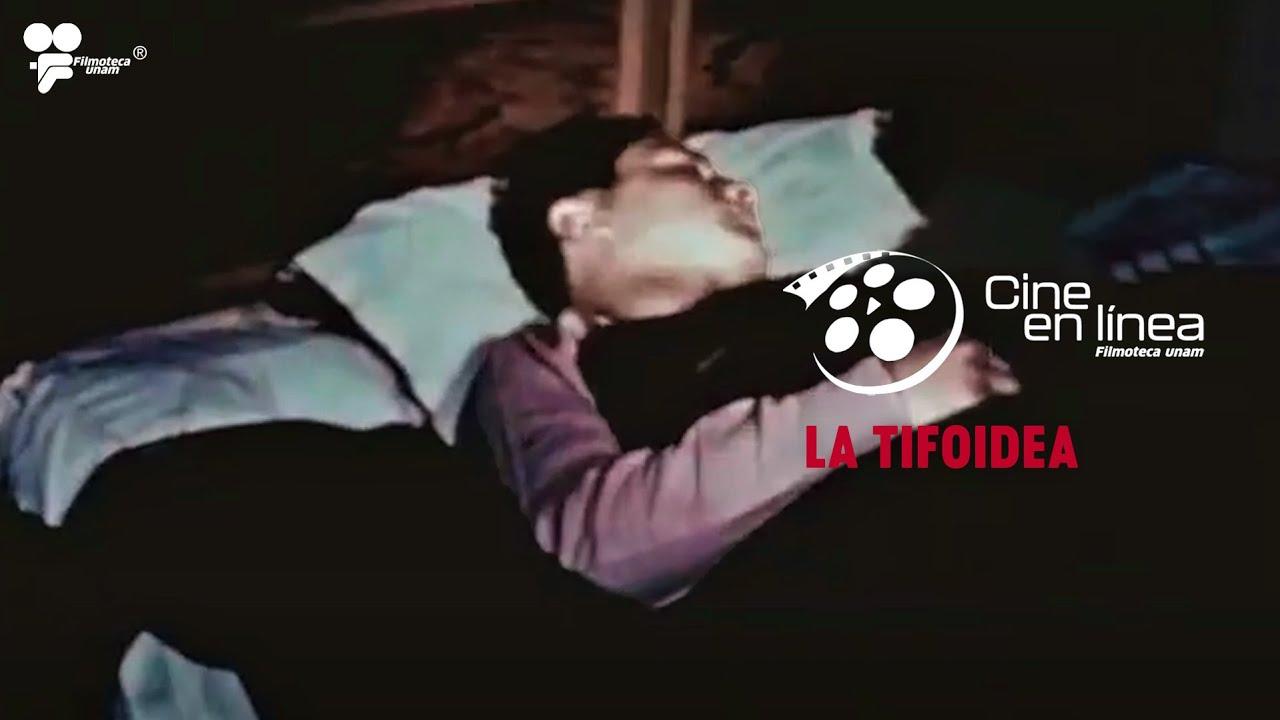 Typhoid Trailer