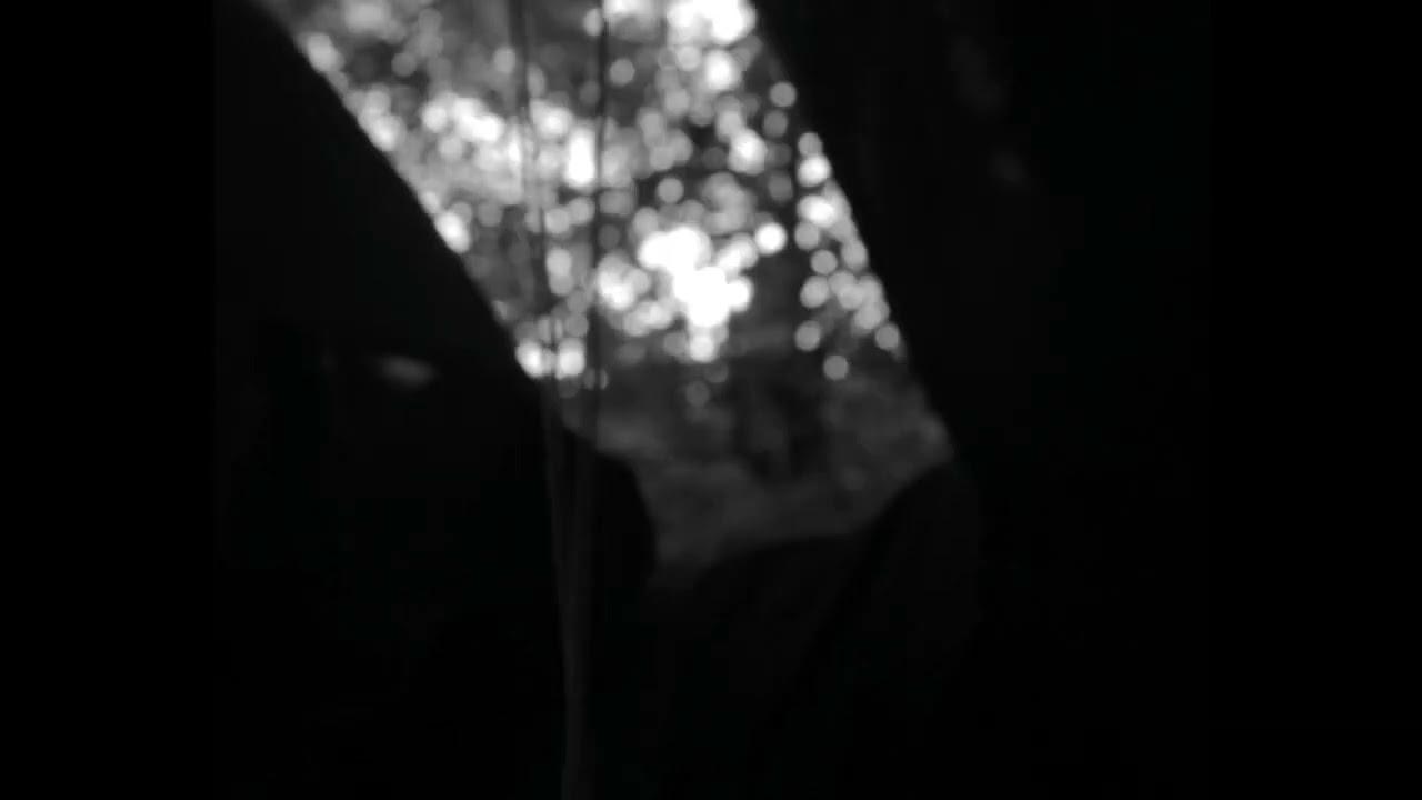 Echo of The Woods Trailer
