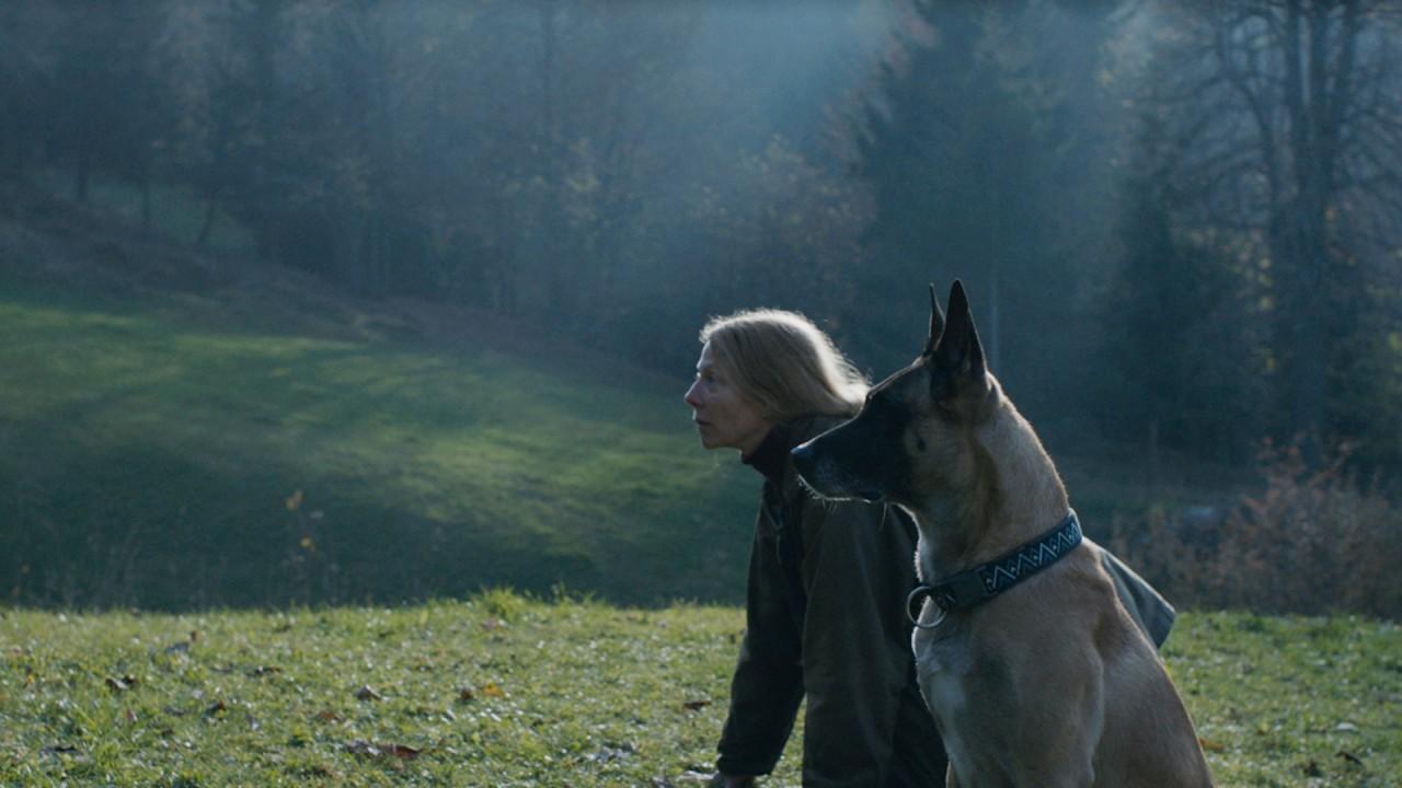 The Animal Remains Trailer