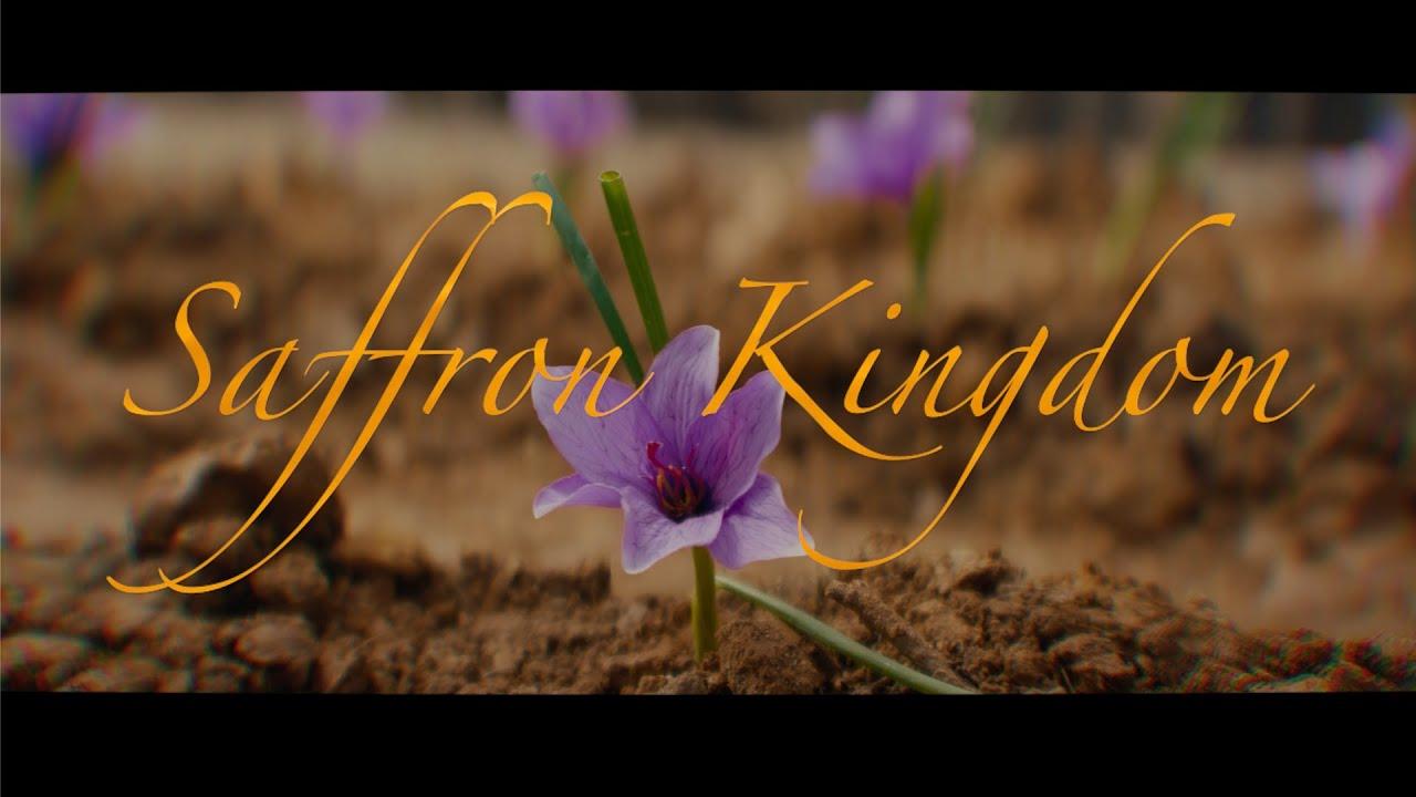 Saffron Kingdom Trailer