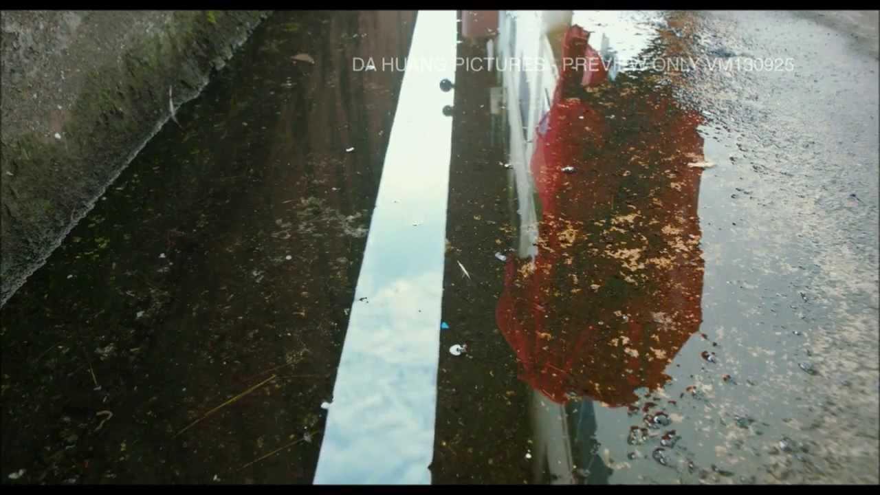 Letters from the South Trailer