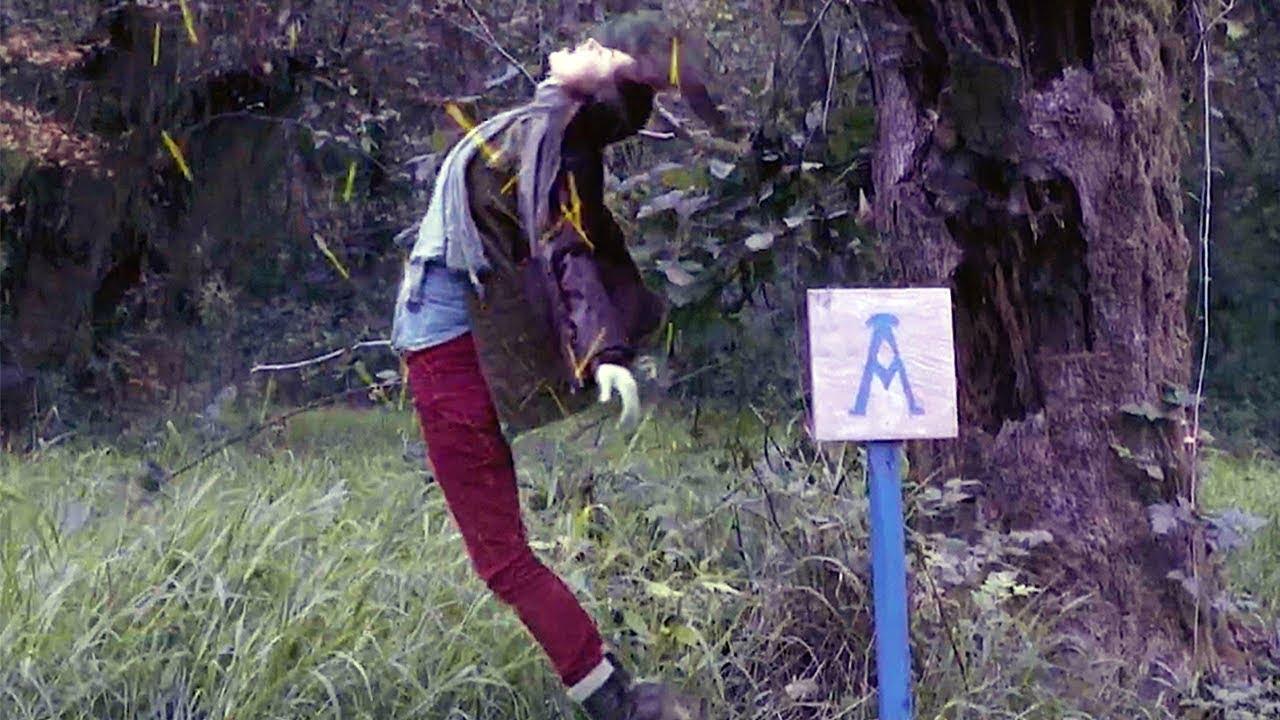 The Shasta Triangle Trailer