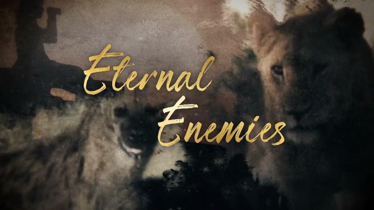 Eternal Enemies: Lions and Hyenas Trailer