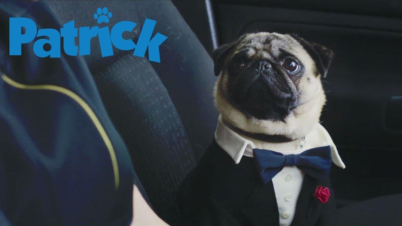Patrick Trailer
