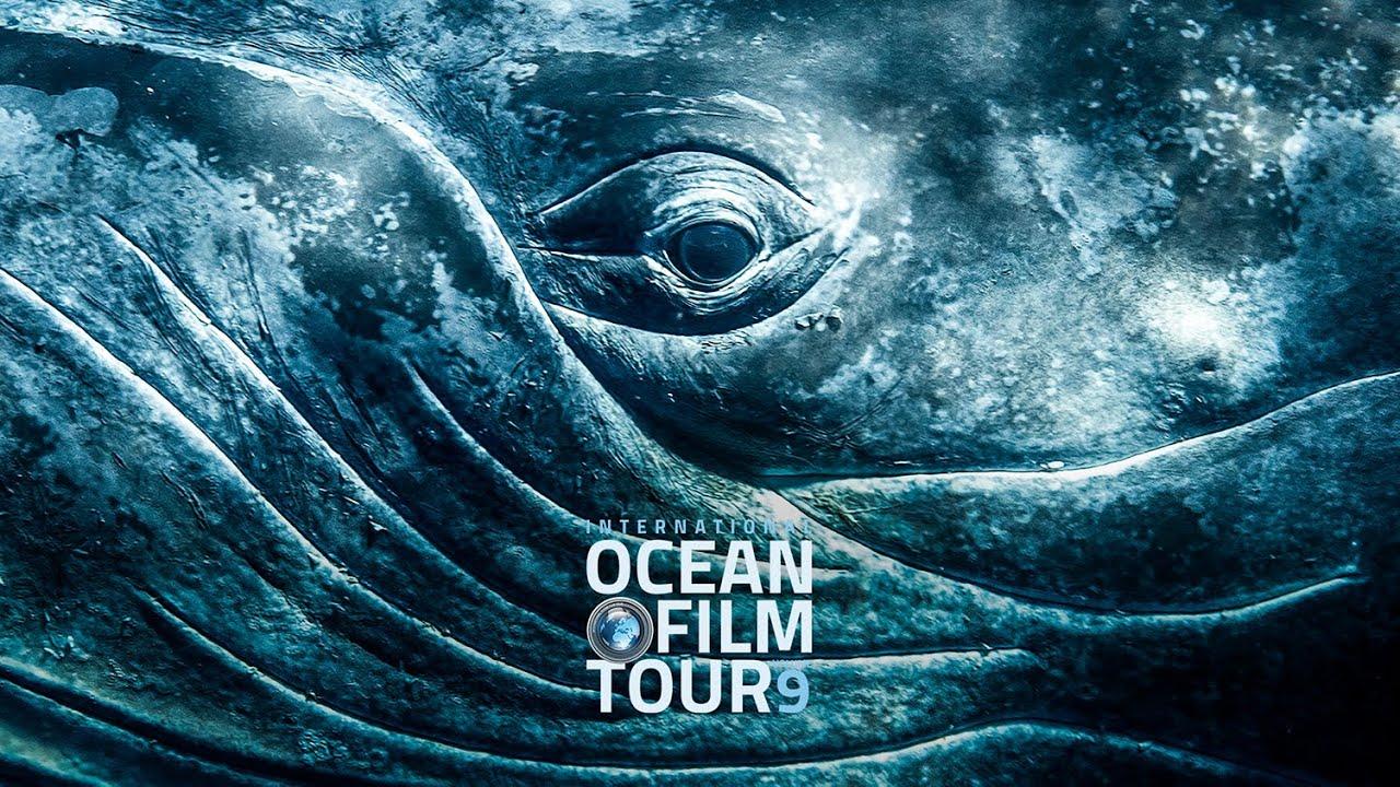 International OCEAN FILM TOUR Vol. 9 Trailer