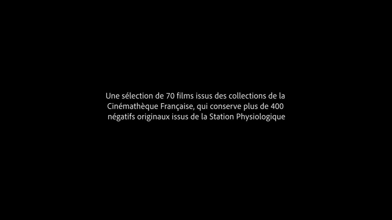 Marche en Flexion (Oscar de Raoul) Trailer
