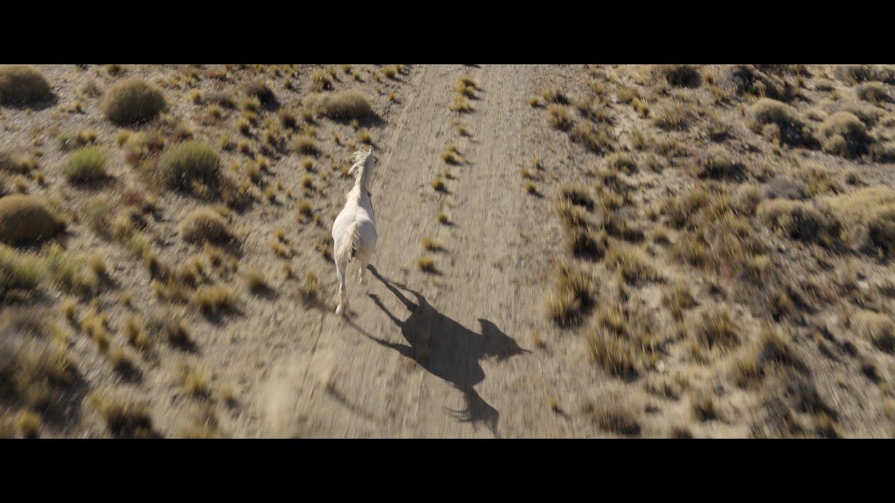Zahorí Trailer