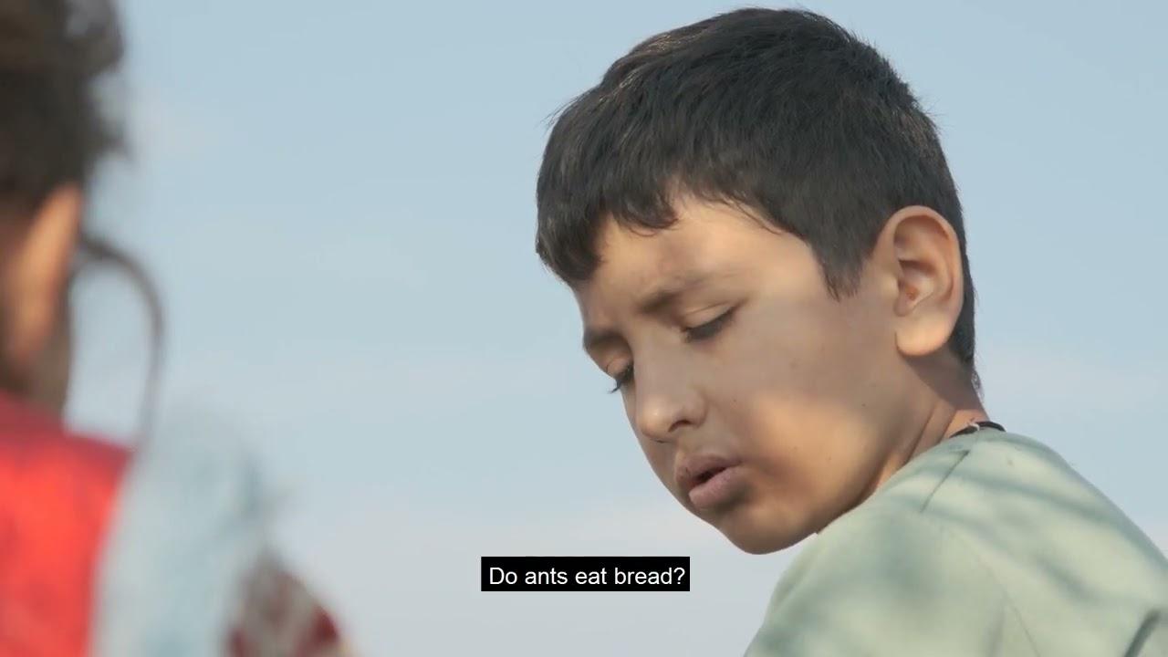 Footprints of Ants Trailer