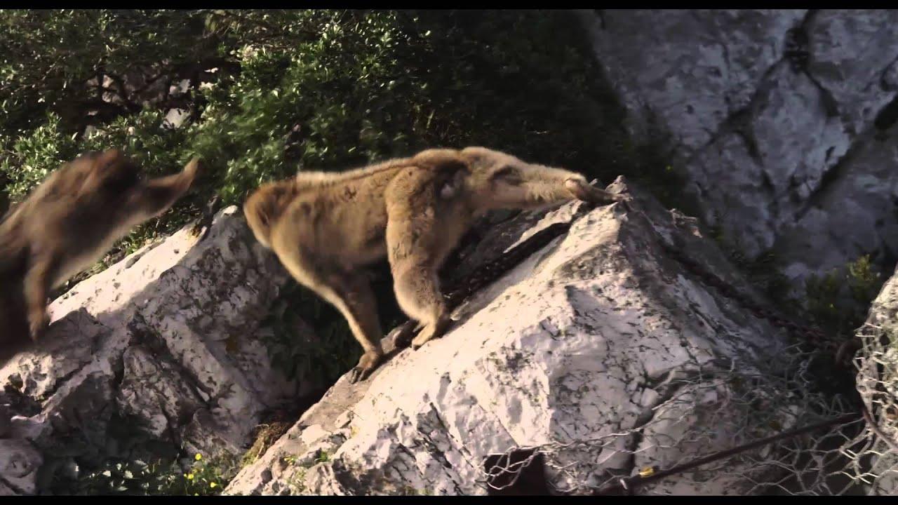 The Kid Trailer