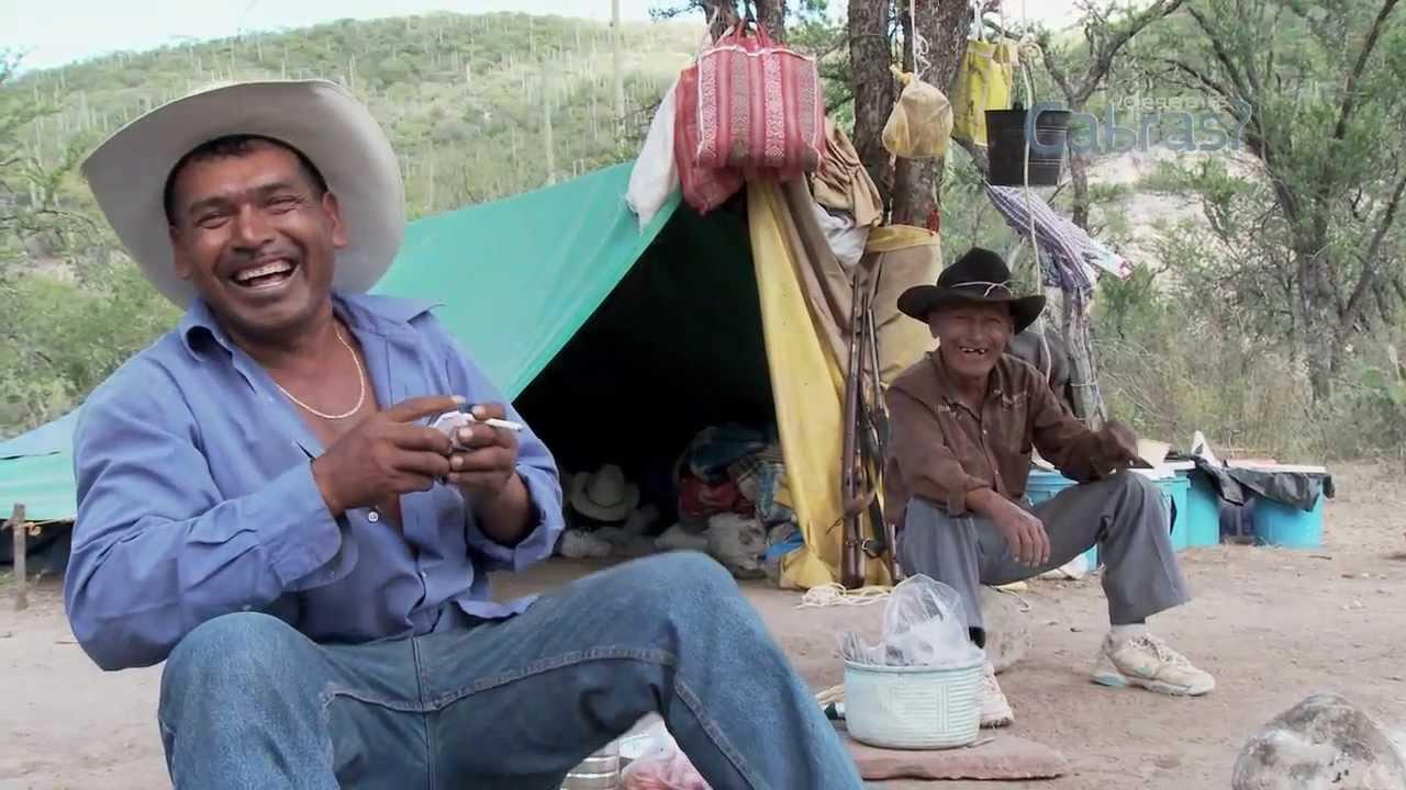 What do goats dream? Trailer