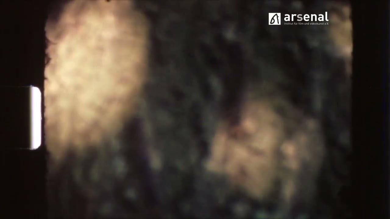 In A Tree’s Shadow Trailer