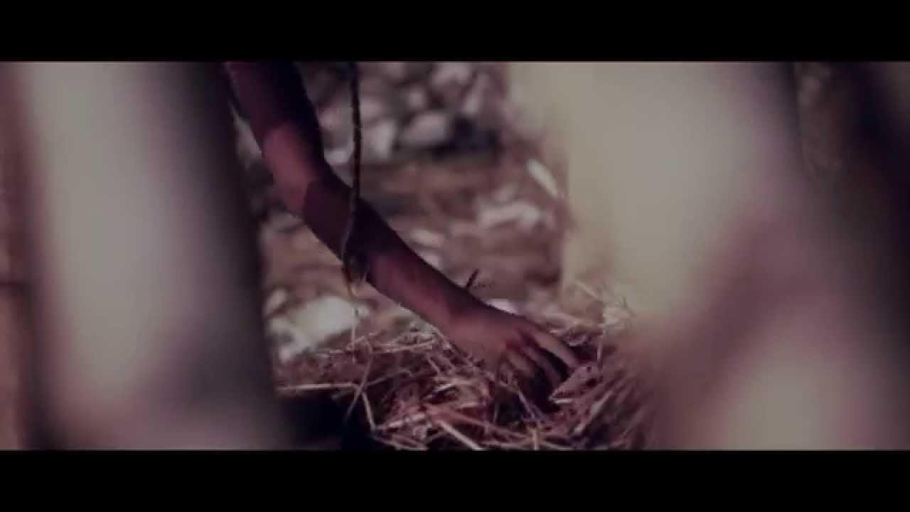 Colourkite Trailer